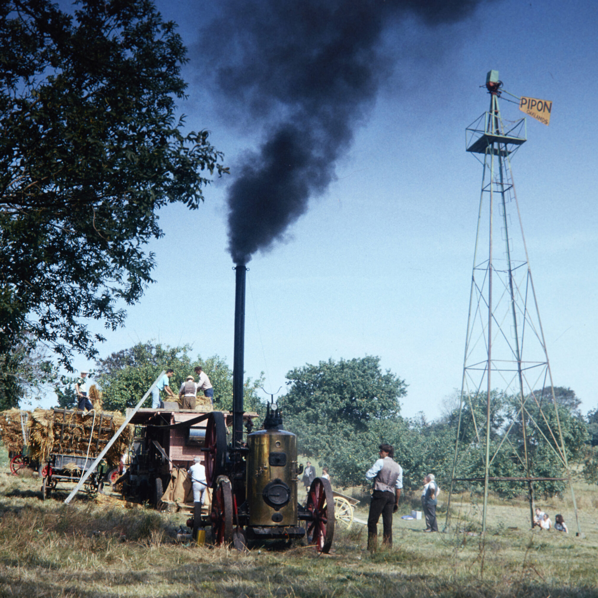 Agriculture: looking back to go forward