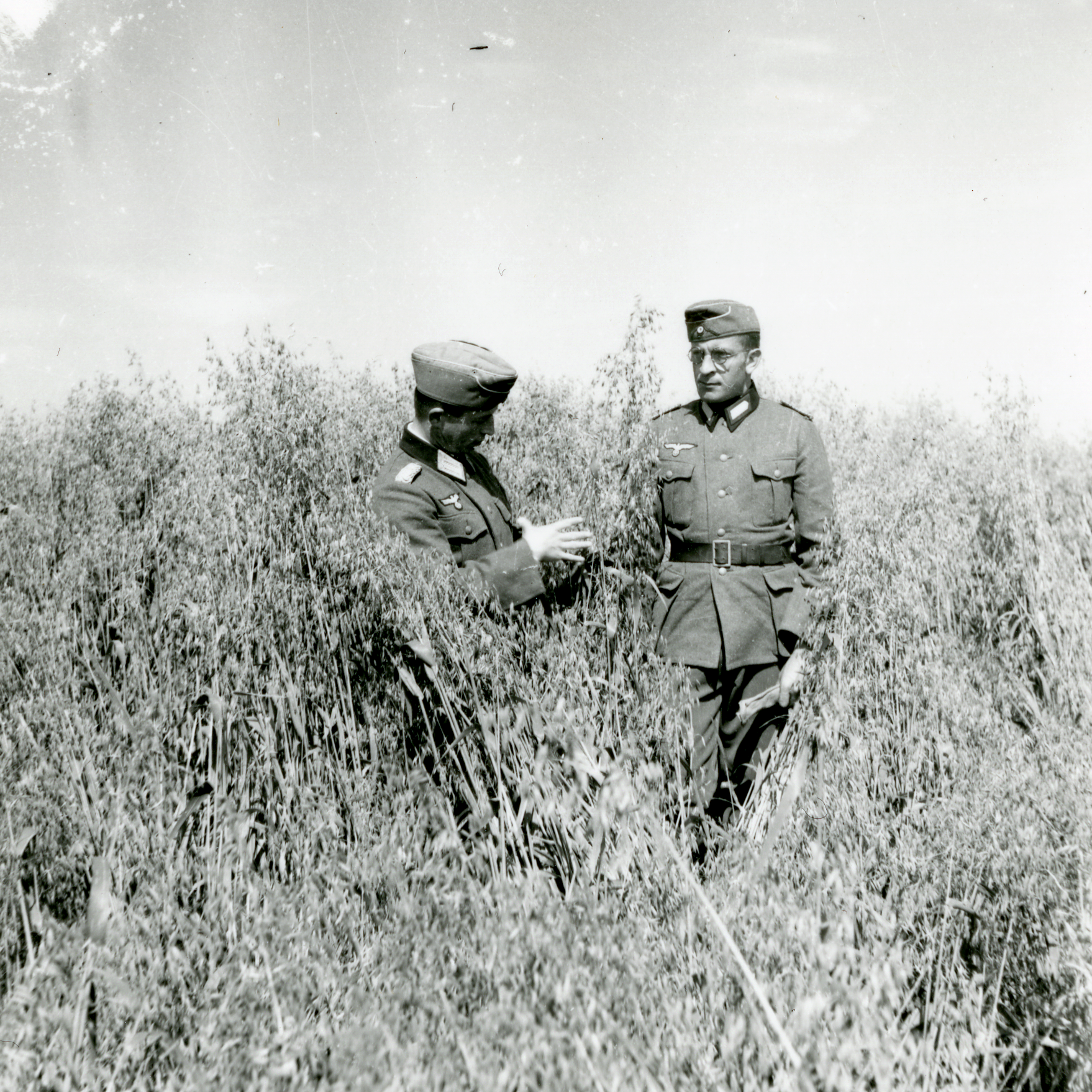 Occupation: at leisure 1940-1944